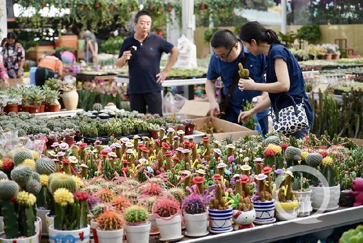 “重庆望海花市近期资讯速递”