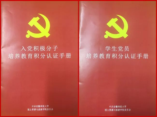 党员成长乐园：全新教育管理篇章启航