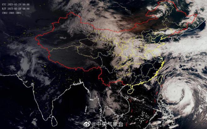 湛江最新台风动态