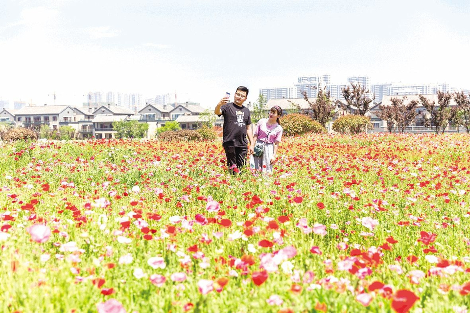 “小镇花海房价动态”