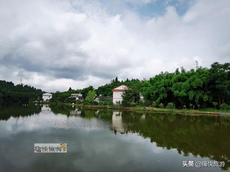 自贡阳光社区温馨资讯，美好瞬间尽收眼底